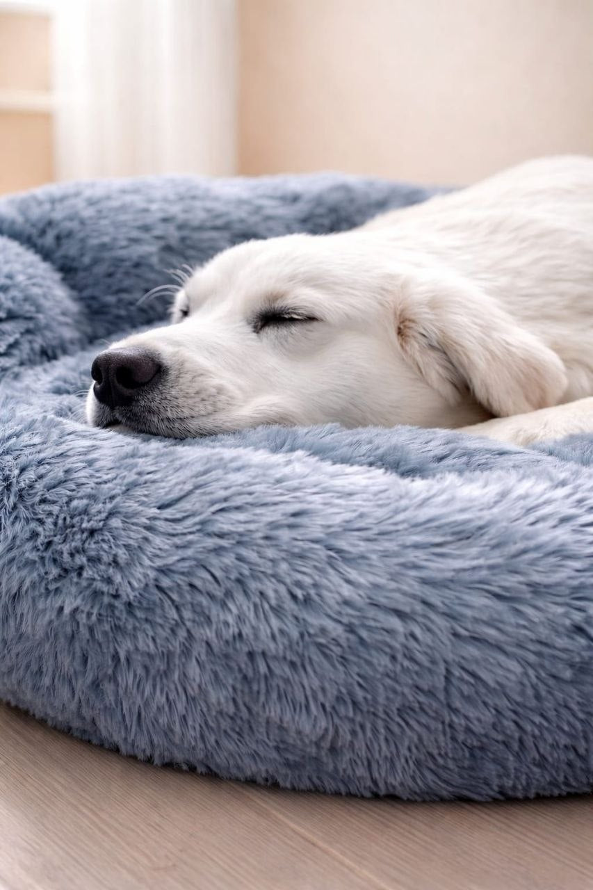 Cocoa Brown Donut Bed
