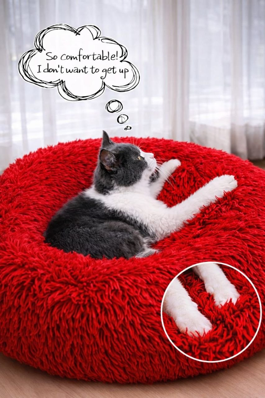 Royal Red Donut Bed