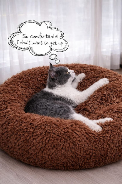 Brown Donut Beds