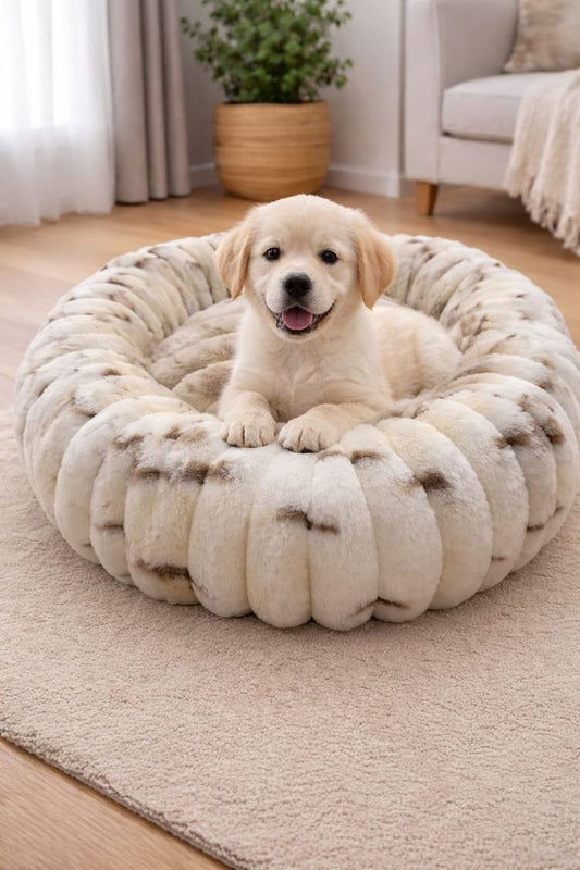 Gerey Colour Cloud bed