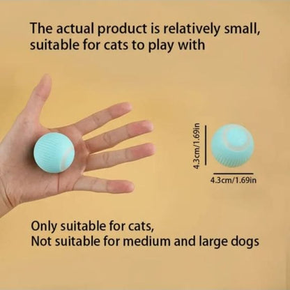Vibrating Cat Ball