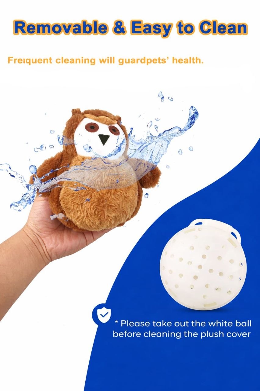 Bouncing Owl Toy
