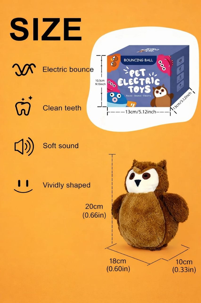 Bouncing Owl Toy