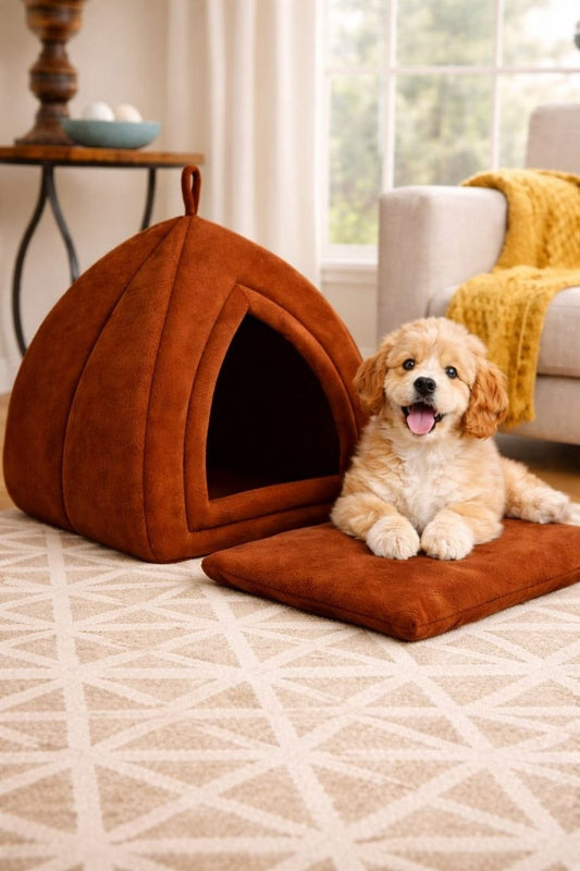 Cat house