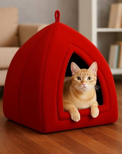 Cat House