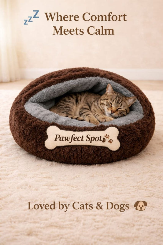 Brown Pouch Bed