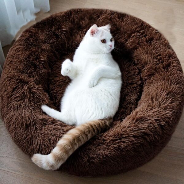 Coffee Brown Doughnut Bed