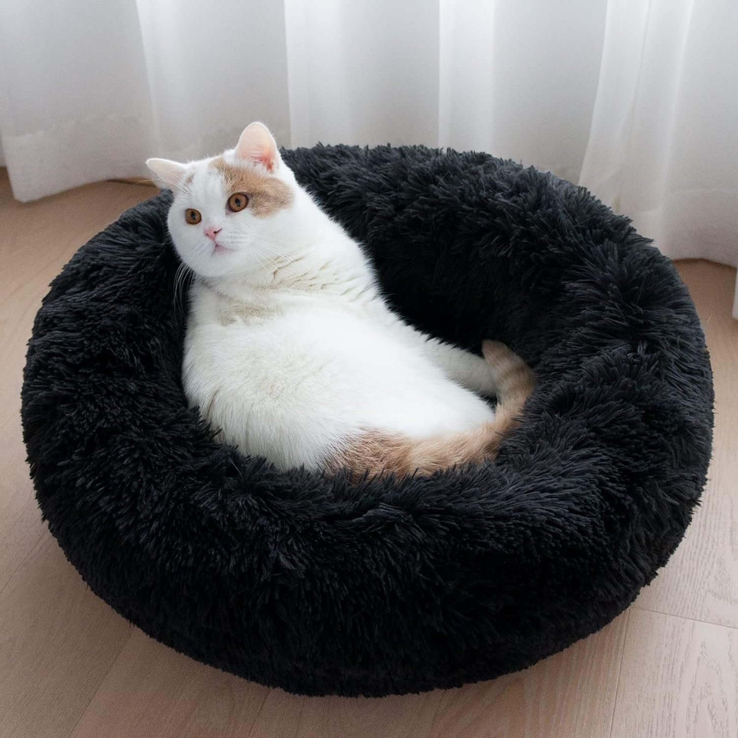 Coal Black Doughnut Bed