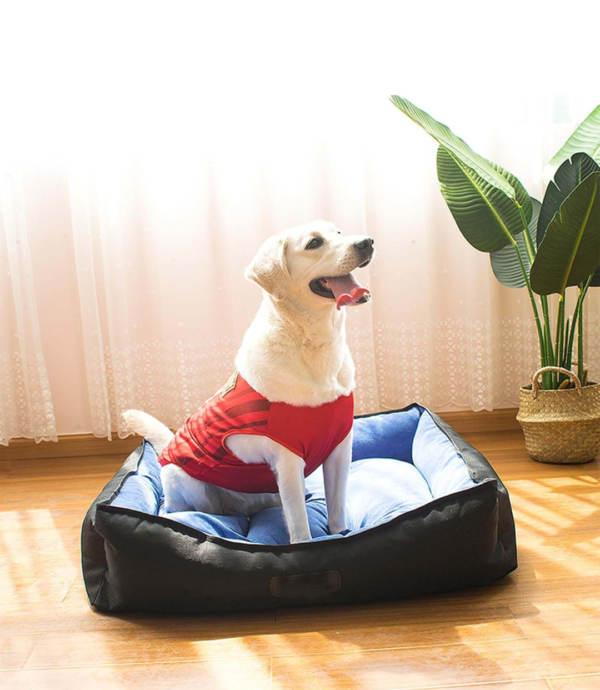 Rectangle Orthopedic Cuddler Bed - Image 2